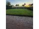 Beautiful backyard featuring a well-maintained lawn, privacy landscaping, and palm trees at sunset at 8289 Topsail Pl, Winter Garden, FL 34787