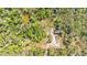 Secluded home surrounded by lush greenery and trees at 953 Baron Rd, Orlando, FL 32828