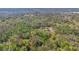 Secluded home surrounded by lush greenery and trees at 953 Baron Rd, Orlando, FL 32828