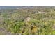 Expansive aerial view of a wooded lot, showcasing lush greenery and a secluded property at 953 Baron Rd, Orlando, FL 32828