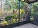 The screened lanai overlooks lush landscaping, mature palms, and a fenced yard for privacy at 133 Indian Wells Ave, Kissimmee, FL 34759