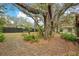 Picturesque backyard setting featuring mature trees and a modern fence for a private outdoor experience at 1590 Twelve Oaks Cir, Kissimmee, FL 34744