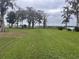 Spacious backyard featuring expansive green lawn and mature trees, offering a serene outdoor setting at 1590 Twelve Oaks Cir, Kissimmee, FL 34744