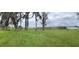 Expansive backyard with lush green grass and mature trees leading towards the waterfront at 1590 Twelve Oaks Cir, Kissimmee, FL 34744