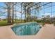 Sparkling pool surrounded by a screened enclosure and lush landscaping at 1686 Shadowmoss Cir, Lake Mary, FL 32746