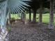 Deer grazing peacefully beneath palm trees in this lush, natural community setting at 1686 Shadowmoss Cir, Lake Mary, FL 32746