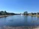 Scenic pond view featuring a fountain, surrounded by lush landscaping and a clear blue sky at 2020 Windcrest Lake Cir, Orlando, FL 32824