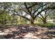 Scenic view of a pond with a fountain surrounded by mature trees and lush landscaping at 2962 Lucayan Harbour Cir # 102, Kissimmee, FL 34746