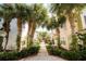 Tropical community walkway framed by palm trees and lush greenery creates a relaxed and inviting atmosphere for residents at 2962 Lucayan Harbour Cir # 102, Kissimmee, FL 34746