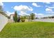 Expansive backyard featuring lush grass and a privacy fence at 5685 Surprise Lily Dr, Winter Garden, FL 34787