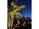 Inviting backyard with palm trees, flower beds, and atmospheric night lighting at 676 Tanaro Ln, Haines City, FL 33844
