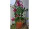 Landscaping featuring a potted bougainvillea plant with magenta flowers, adding a pop of color and elegance to the outdoor space at 676 Tanaro Ln, Haines City, FL 33844