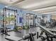 Community gym featuring weight training equipment, multiple machines and free weights at 8300 Portofino Dr # 403, Davenport, FL 33896