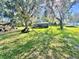Backyard with trees, hammock, lawn mower, chicken coop, trampoline, and swing set at 1201 Providence Blvd, Kissimmee, FL 34744