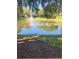 Scenic view of a pond with a fountain, surrounded by lush greenery at 2210 Yankee Pl # 334, Orlando, FL 32839