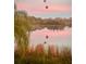 Scenic lake view with hot air balloons, serene reflections, and lush greenery at 486 Lake Shore Pkwy, Davenport, FL 33896
