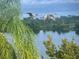 Picturesque lake view featuring birds in flight over calm waters, framed by lush trees at 486 Lake Shore Pkwy, Davenport, FL 33896