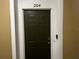Classic front door with secure entry, enhancing the welcoming feel of this condo unit at 8103 Coconut Palm Way # 204, Kissimmee, FL 34747