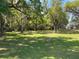 Expansive backyard with mature trees, providing shade and privacy at 4602 Cumbrian Lakes Dr, Kissimmee, FL 34746