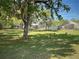 Expansive backyard featuring mature trees and lush green grass, offering a serene outdoor setting at 4602 Cumbrian Lakes Dr, Kissimmee, FL 34746