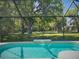 A beautiful screened pool overlooking a lush green backyard at 4602 Cumbrian Lakes Dr, Kissimmee, FL 34746