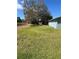 Expansive backyard featuring lush lawn, mature tree, and shed at 4625 Weston Rd, Bartow, FL 33830