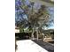 Secluded backyard with a mature tree, swing, and outdoor seating area at 539 Libby Rd, Babson Park, FL 33827