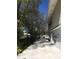 Side exterior features a view of the yard, landscaping, a long driveway, and a glimpse of the charming home at 539 Libby Rd, Babson Park, FL 33827