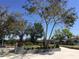 Beautifully landscaped front yard with a variety of plants and mature trees at 539 Libby Rd, Babson Park, FL 33827