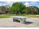 Community game area with table tennis at 6844 Butterfly Dr, Harmony, FL 34773