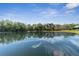 Picturesque lake view with a tree-lined shore, capturing the peaceful and scenic location at 1251 Aquila Loop, Celebration, FL 34747