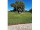 Expansive green backyard area with mature trees and a serene lake view at 2981 Winding Trl, Kissimmee, FL 34746