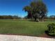 Spacious green backyard with view of community lake, trees, and manicured lawn at 2981 Winding Trl, Kissimmee, FL 34746