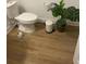 Simple half bathroom at 9690 Emerald Berry Dr, Winter Garden, FL 34787