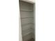 Walk-in closet featuring metal shelves along one wall for storage at 9690 Emerald Berry Dr, Winter Garden, FL 34787