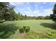 Expansive community greenspace with mature trees and manicured landscaping at 1027 Banks Rose St, Celebration, FL 34747