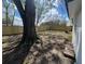 A spacious backyard featuring a majestic tree and a brand new wooden fence at 1749 Sorolla Ct, Orlando, FL 32811