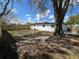 A spacious backyard featuring a mature tree providing shade and a new wooden fence at 1749 Sorolla Ct, Orlando, FL 32811