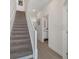 Bright stairway with carpeted steps and views of the downstairs bathroom at 17238 Blessing Dr, Clermont, FL 34714