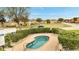 Hot tub surrounded by hedges at 1783 Coriander Dr, Kissimmee, FL 34759