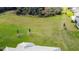 Large backyard featuring lush green lawn and treeline view in a well maintained community at 3920 Reed Grass Pl, Kissimmee, FL 34746