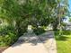 Long, tree-covered driveway leading to the home, offering privacy and a picturesque entrance at 6100 Alligator Lake W Shr, St Cloud, FL 34771