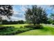Well-manicured front yard with lush green grass, hedges, and a large shade tree, providing curb appeal at 15687 Kinnow Mandarin Ln, Winter Garden, FL 34787