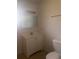 Compact bathroom with a vanity, mirror, and toilet at 20 S Flag Ct, Kissimmee, FL 34759