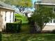 Backyard area with grass; there is a narrow space between two homes with manicured bushes at 2160 Addison Ave, Clermont, FL 34711