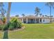 Expansive backyard with well-maintained lawn, covered patio, and lush tropical landscaping at 3607 Hidden River Ln, Tavares, FL 32778
