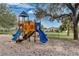 Neighborhood playground featuring a colorful play structure with slides and climbing elements for children at 16014 Hawk Hill St, Clermont, FL 34714