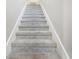 Carpeted stairway with white walls leading upstairs at 16035 Wilkinson Dr, Clermont, FL 34714