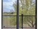 View from the balcony through to the trees at 10731 Belfry Cir, Orlando, FL 32832