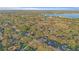 Overhead perspective of the property and surrounding area, highlighting the landscape and the distant lake at 2515 Ridgewind Way, Windermere, FL 34786